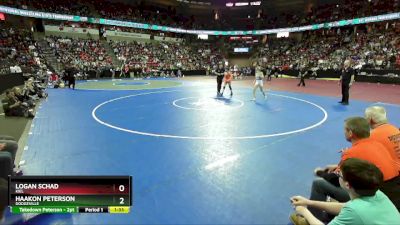 D2-113 lbs Semifinal - Haakon Peterson, Dodgeville vs Logan Schad, Kiel