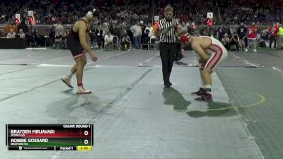 D1-190 lbs Champ. Round 1 - Brayden Mirjavadi, Romeo HS vs Robbie Gossard, Bedford HS
