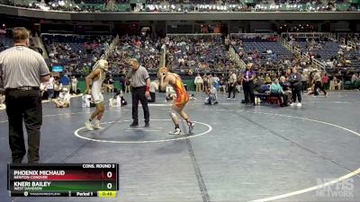 2A 120 lbs Cons. Round 3 - Phoenix Michaud, Newton-Conover vs Kneri Bailey, West Davidson