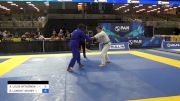 ANDREW LOUIS WITKOWSKI vs BRANDON LAMONT NEWBY 2024 Pan Jiu Jitsu IBJJF Championship