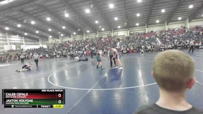 285 lbs 3rd Place Match - Caleb Cefalo, Box Elder Stingers vs Jaxton Holyoak, Canyon View Falcons