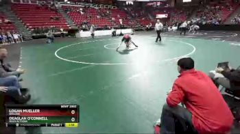 D2-106 lbs Champ. Round 1 - Deaglan O`Connell, Regis/Altoona vs Logan Mueller, Brillion