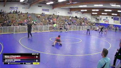 85 lbs Round 5 - Beau Strasheim, Cougar Mat Club vs Jackson Gibson, Dallas Mat Club