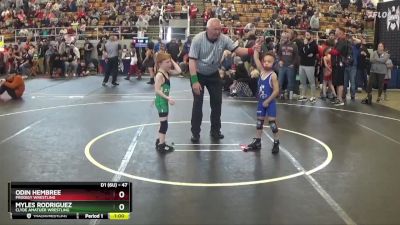 47 lbs Quarterfinal - Odin Hembree, Prodigy Wrestling vs Myles Rodriguez, Clyde Amatuer Wrestling