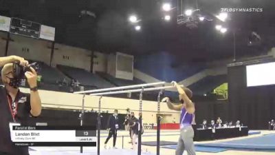 Landen Blixt - Parallel Bars, Infinity Gym MI - 2021 USA Gymnastics Development Program National Championships
