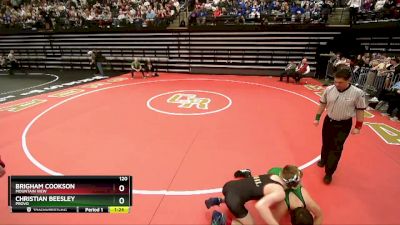 120 lbs Quarterfinal - Brigham Cookson, Mountain View vs Christian Beesley, Provo