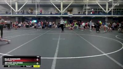 105 lbs Round 2 (10 Team) - Bryson Galofaro, Bitetto Trained vs Elle Changaris, Iron Horse