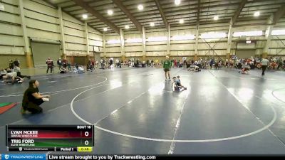 37 lbs Semifinal - Lyam Mckee, Uintah Wrestling vs Trig Ford, Elite Wrestling