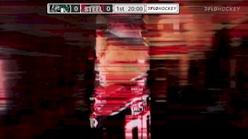 Replay: Cedar Rapids vs Chicago - Away - 2023 Cedar Rapids vs Chicago | Feb 4 @ 7 PM
