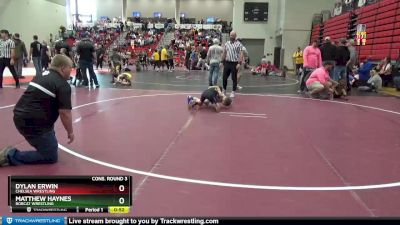 60 lbs Cons. Round 3 - Matthew Haynes, Bobcat Wrestling vs Dylan Erwin, Chelsea Wrestling