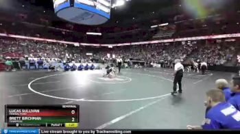 D3-126 lbs Semifinal - Brett Birchman, Fennimore vs Lucas Sullivan, Mineral Point