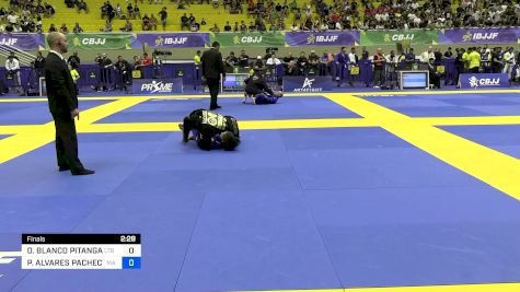 DANUZA BLANCO PITANGA vs PATRICIA ALVARES PACHECO 2024 Brasileiro Jiu-Jitsu IBJJF