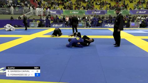 RAFAEL BARBOSA CARVALHO DA COSTA vs DACIO FERNANDES DE LIMA 2024 Brasileiro Jiu-Jitsu IBJJF