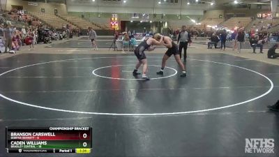 215 lbs Quarterfinals (8 Team) - Branson Carswell, Dobyns Bennett vs Caden Williams, Bradley Central