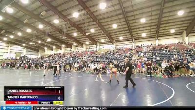 113 lbs Quarterfinal - Daniel Rosales, ID vs Tanner Bartonico, CA