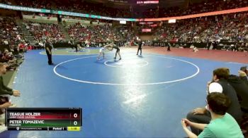 D2-132 lbs Semifinal - Peter Tomazevic, Freedom vs Teague Holzer, Saint Croix Central