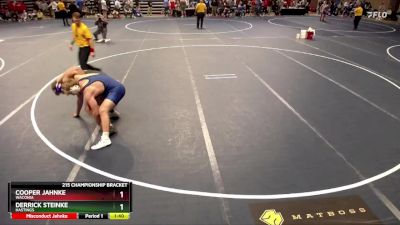 215 Championship Bracket Quarterfinal - Derrick Steinke, Hastings vs Cooper Jahnke, Waconia