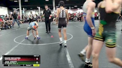 110 lbs Round 3 (4 Team) - David DeCastro, Team Germantown vs Jake Amiott, NC National Team