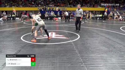 95 lbs Round Of 16 - Liam Brannon, Danville vs Preston Shenk, Lampeter-Strasburg