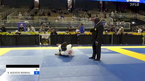 DENNIS CONNER PROULX vs RHANSEL ACEVEDO RODRIGUEZ 2024 Pan Jiu Jitsu IBJJF Championship