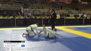 CARLOS EDUARDO DE ALMEIDA GONCAL vs WILLIAM EARL HAGERTY 2024 Pan Jiu Jitsu IBJJF Championship