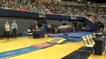 Austin Sheppard- Vault- 9.80