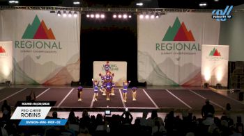 Pro Cheer - Robins [2024 L1.1 Mini - PREP - D2 04/20/2024] 2024 The Southeast Regional Summit