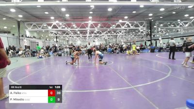 146 lbs Rr Rnd 6 - Alex Palko, Steller Trained Mantis vs Peter Mikedis, Savage Wrestling