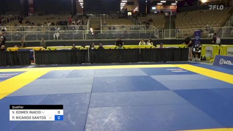 VINICIUS GOMES INACIO vs PAULO RICARDO SANTOS ALVES 2024 Pan Jiu Jitsu IBJJF Championship