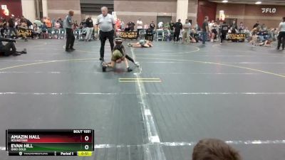 49 lbs 1st Place Match - Amazin Hall, Roundtree vs Evan Hill, Ohio Gold