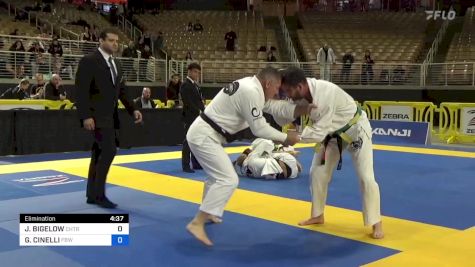 GREGORY CINELLI vs JAMES BIGELOW 2024 Pan Jiu Jitsu IBJJF Championship