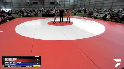 145 lbs Quarters & 1st Wb (16 Team) - Blake Cosby, Michigan Blue vs Tanner Shaffer, Pennsylvania Red