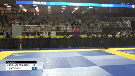 VINCE MICHAEL DENUNZIO JR vs JOSEPH CASTILLO 2024 Pan Jiu Jitsu IBJJF Championship