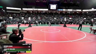 120 lbs Cons. Round 4 - Ayden King, WCWA vs Jaedyn Gillen, DWC3