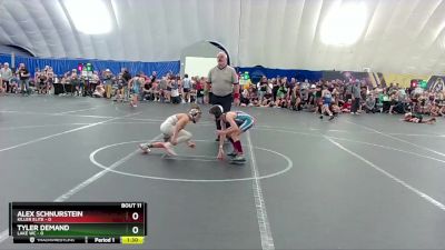 72 lbs Round 3 (8 Team) - Alex Schnurstein, Killer Elite vs Tyler Demand, Lake WC