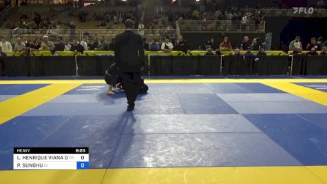 LUIZ HENRIQUE VIANA DA SILVA vs PARK SUNGHU 2024 Pan Jiu Jitsu IBJJF Championship