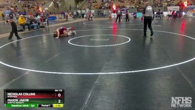 AA 113 lbs Quarterfinal - Mason Jakob, Dobyns Bennett vs Nicholas Collins, Rossview