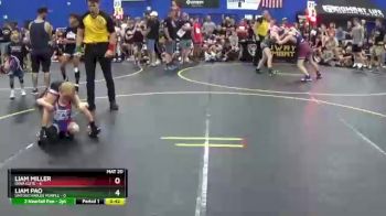43 lbs Round 4 (6 Team) - Liam Pao, Untouchables Purple vs Liam Miller, Iowa Elite