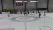 Replay: Home - 2024 Winnipeg Wild U17  vs PCHA White | Feb 4 @ 2 PM