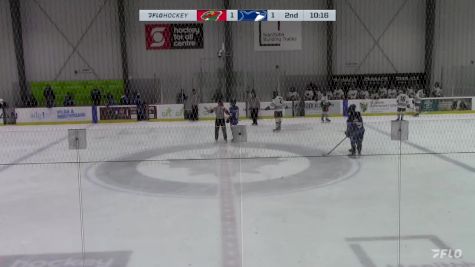 Replay: Home - 2024 Winnipeg Wild U17  vs PCHA White | Feb 4 @ 2 PM