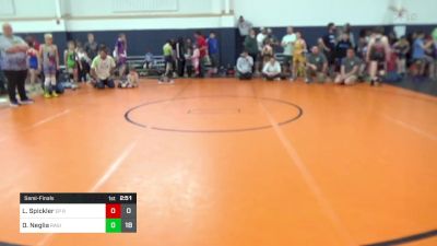 65 lbs Semifinal - Landon Spickler, EP Rattlers vs Dino Neglia, Ragin Raisins