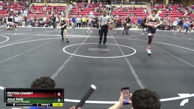 125 lbs Cons. Semi - Peyton Chainey, Nixa vs Kale Page, Linn County Twisters