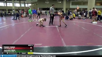 95 lbs Round 3 (6 Team) - Tommy Perez, Team Palmetto vs Mathew Reed, Alabama Elite Gray