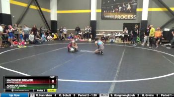 91 lbs Round 2 (4 Team) - Mackinzie Brewer, Missouri Gold vs Adriana Kunz, MN Storm