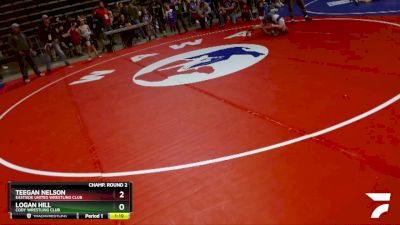 77 lbs Champ. Round 2 - Teegan Nelson, Eastside United Wrestling Club vs Logan Hill, Cody Wrestling Club