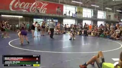 90 lbs Round 4 (10 Team) - Bear Wesolowski, Panhandle Punishers vs Jaxson Wilson, Alburnette WC