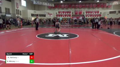 95 lbs Semifinal - August Hartung, Stillwater vs Adrian Mincey, S.O.A.R.R Elite Wrestling Club