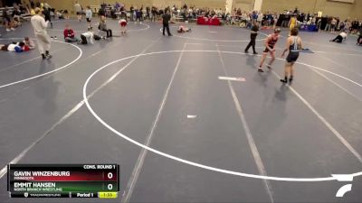 160 lbs Cons. Round 1 - Gavin Winzenburg, Minnesota vs Emmit Hansen, North Branch Wrestling