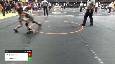 80 lbs Rd 7 - Consi-semis - Alyis Brown, Wissahickon vs Carter Ickes, Chestnut Ridge