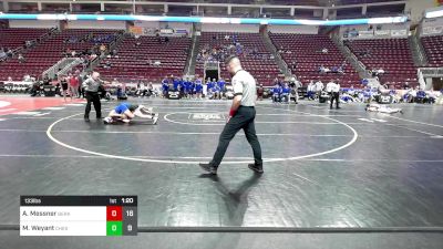 133 lbs Round Of 16 - Andrew Messner, Berks Catholic vs Mason Weyant, Chestnut Ridge